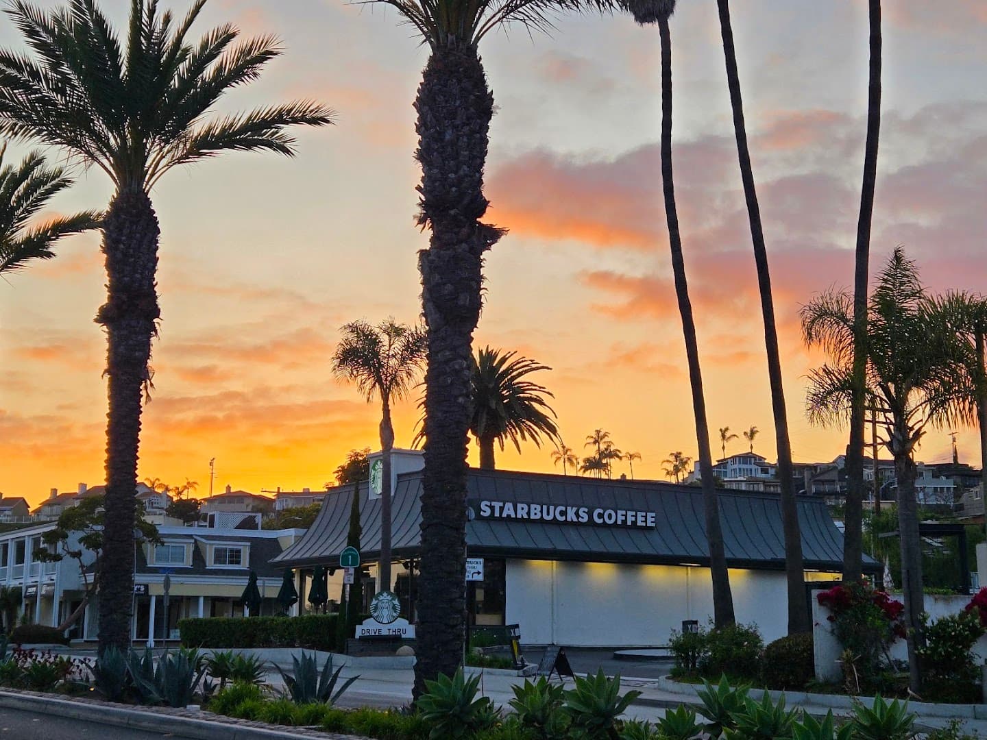 Starbucks Starbucks in Dana Point, California — photo 5 of 5